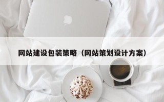 盘锦网站建设包装策略（网站策划设计方案）